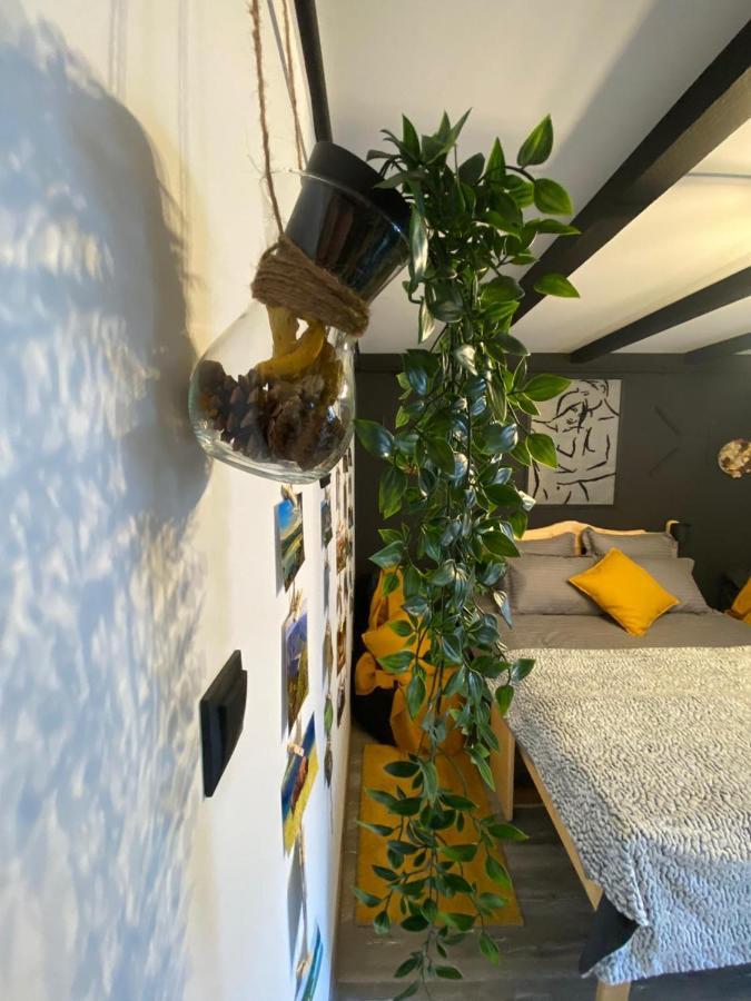 Night Lotus Apartment Hunedoara Exterior photo